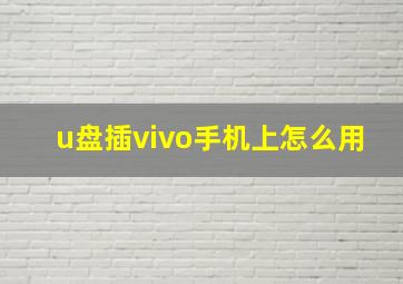 u盘插vivo手机上怎么用