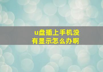 u盘插上手机没有显示怎么办啊