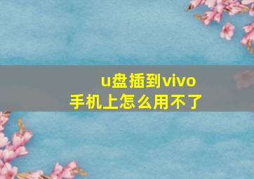 u盘插到vivo手机上怎么用不了