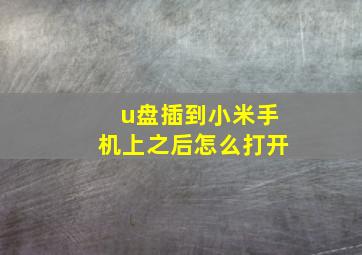 u盘插到小米手机上之后怎么打开