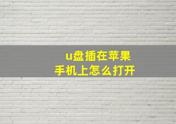 u盘插在苹果手机上怎么打开