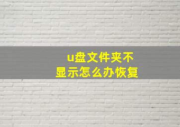 u盘文件夹不显示怎么办恢复