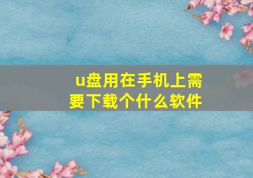 u盘用在手机上需要下载个什么软件