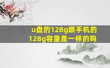 u盘的128g跟手机的128g容量是一样的吗