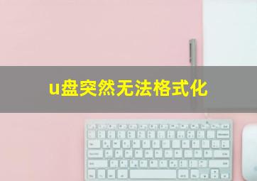 u盘突然无法格式化