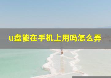 u盘能在手机上用吗怎么弄