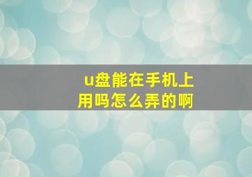 u盘能在手机上用吗怎么弄的啊