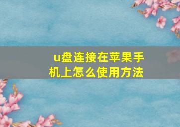 u盘连接在苹果手机上怎么使用方法