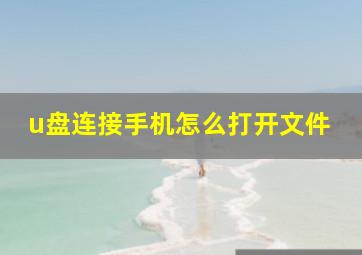 u盘连接手机怎么打开文件