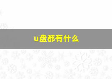 u盘都有什么