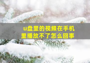 u盘里的视频在手机里播放不了怎么回事