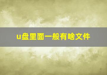 u盘里面一般有啥文件