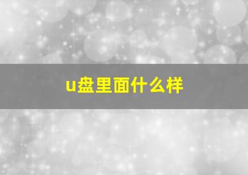 u盘里面什么样