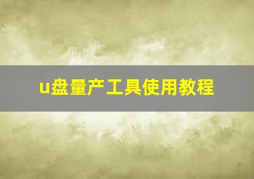 u盘量产工具使用教程