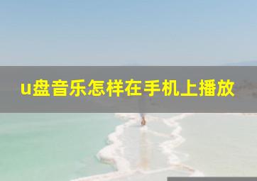 u盘音乐怎样在手机上播放