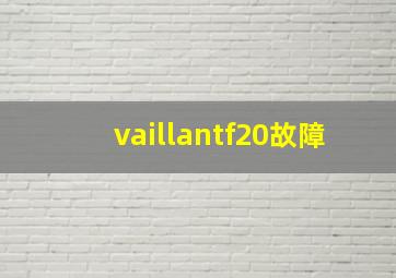 vaillantf20故障