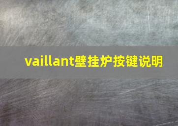 vaillant壁挂炉按键说明