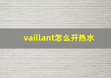 vaillant怎么开热水