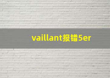 vaillant报错5er