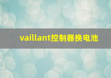 vaillant控制器换电池