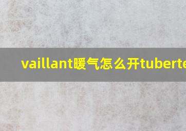 vaillant暖气怎么开tubertec