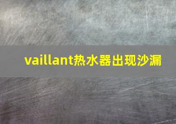 vaillant热水器出现沙漏