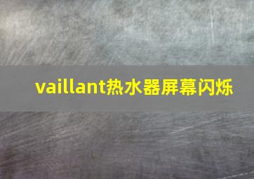 vaillant热水器屏幕闪烁