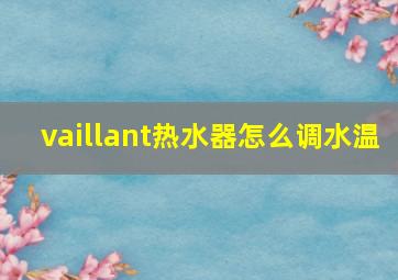 vaillant热水器怎么调水温