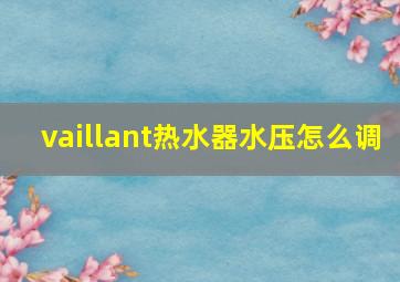 vaillant热水器水压怎么调