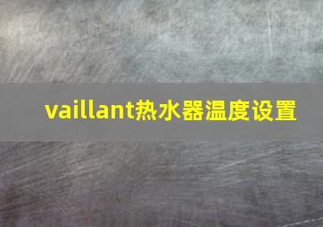 vaillant热水器温度设置