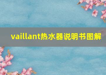 vaillant热水器说明书图解