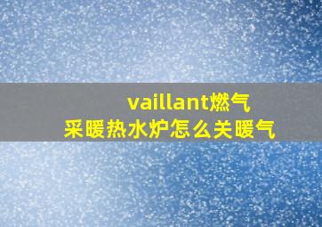 vaillant燃气采暖热水炉怎么关暖气