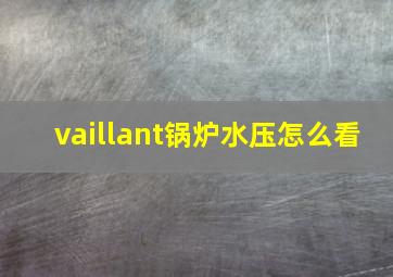 vaillant锅炉水压怎么看