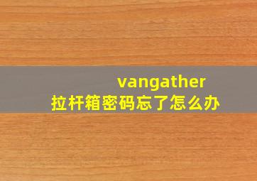 vangather拉杆箱密码忘了怎么办