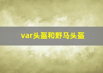 var头盔和野马头盔