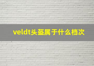 veldt头盔属于什么档次