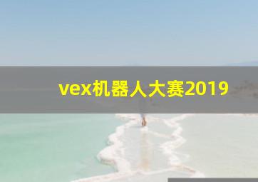 vex机器人大赛2019