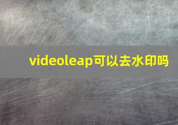 videoleap可以去水印吗