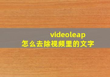 videoleap怎么去除视频里的文字