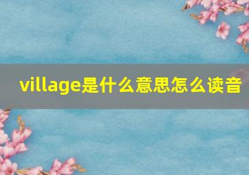 village是什么意思怎么读音