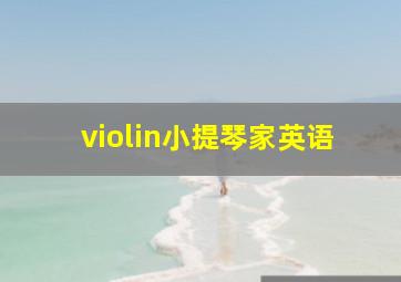 violin小提琴家英语