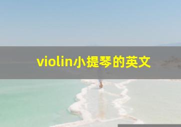 violin小提琴的英文