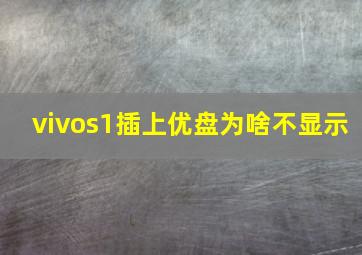 vivos1插上优盘为啥不显示