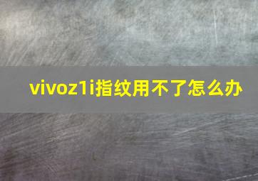 vivoz1i指纹用不了怎么办