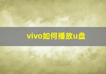 vivo如何播放u盘