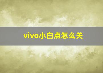 vivo小白点怎么关