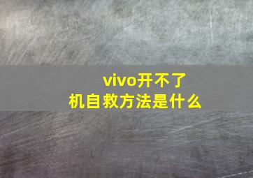 vivo开不了机自救方法是什么