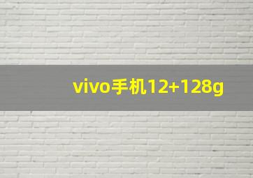 vivo手机12+128g