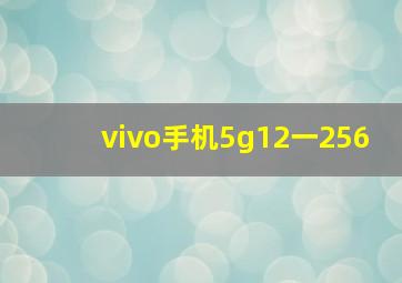 vivo手机5g12一256