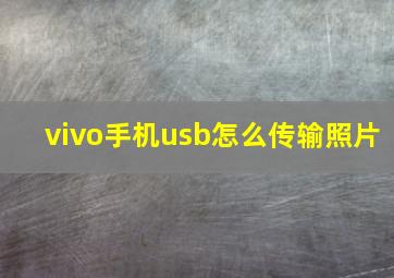 vivo手机usb怎么传输照片